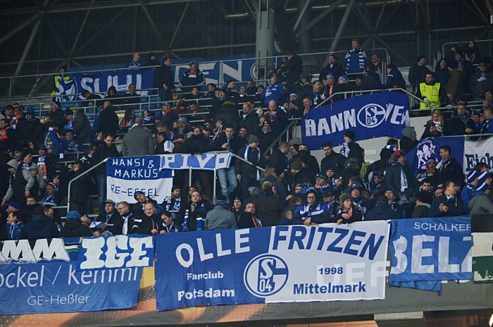 Schalke Fans (Vlad1988 / Shutterstock.com)